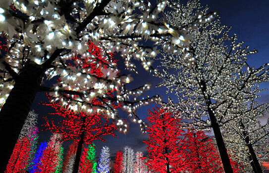 Most of theme park in Japan use LED lighting